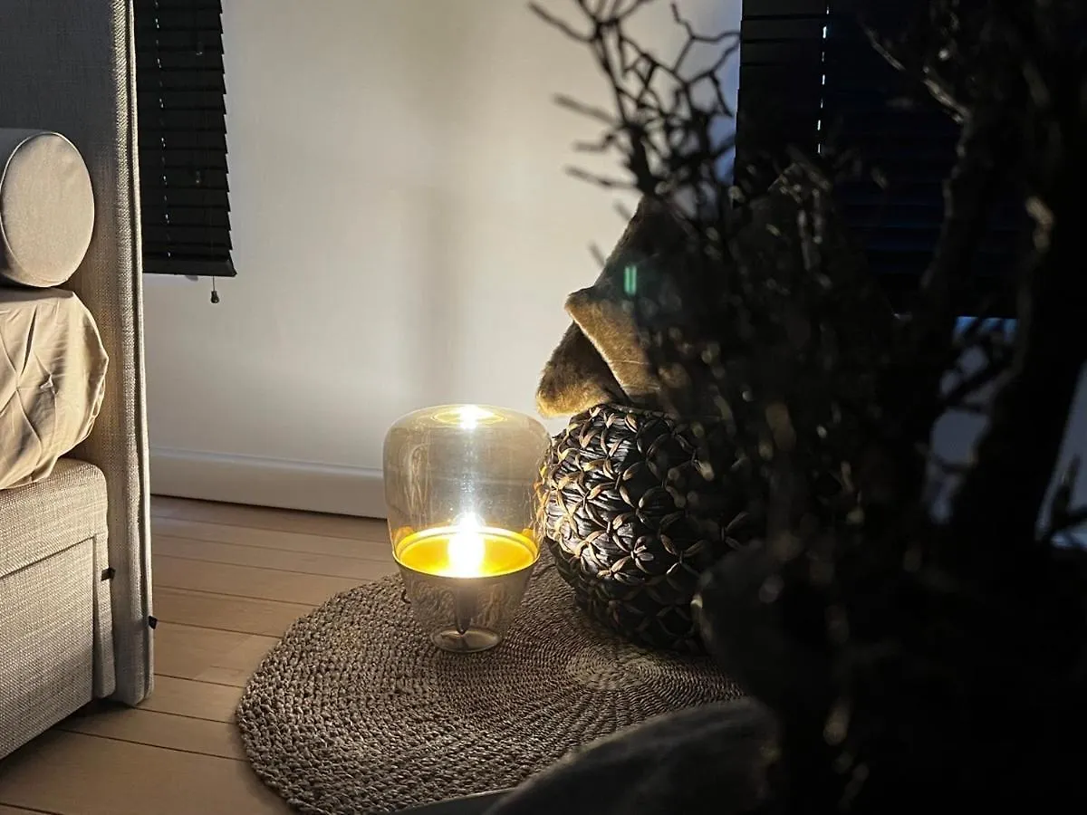 Bed & Breakfast Maison Gand Belgium